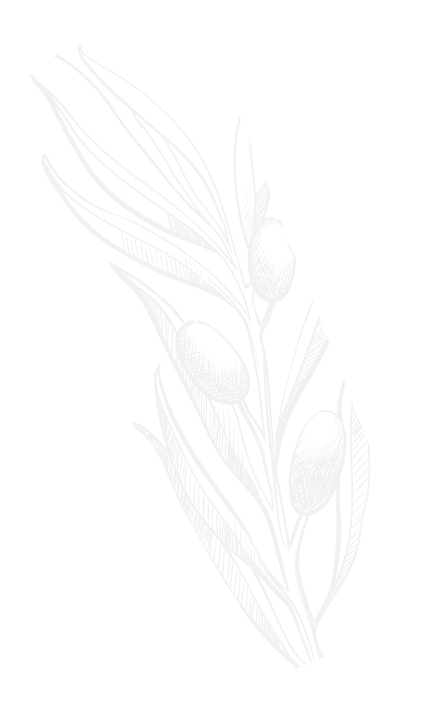 Olive Branch