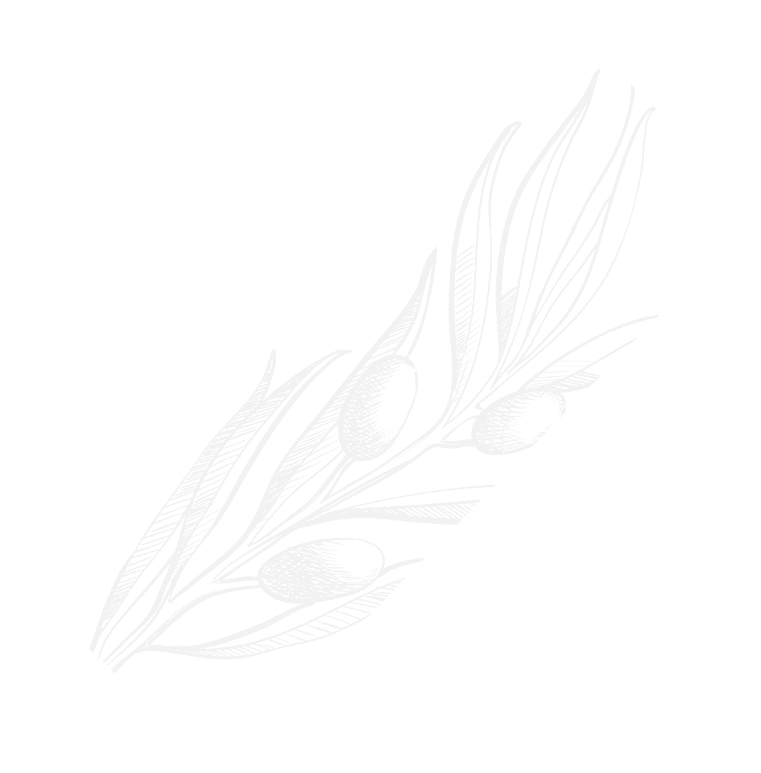 Olive Branch Properties Premier Real Estate Services In Dubai olive-branch-properties-premier-real-estate-services-in-dubai